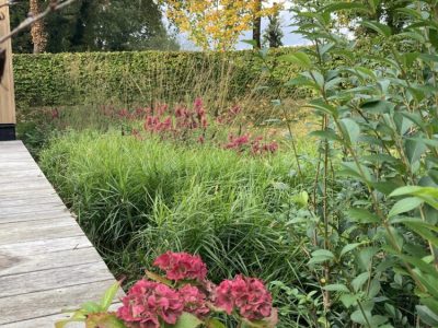 Tuin aanleg Arcen, biologische tuin